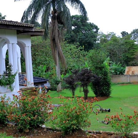 Egg Botanical View Entebbe Exterior foto